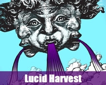 LUCID HARVEST